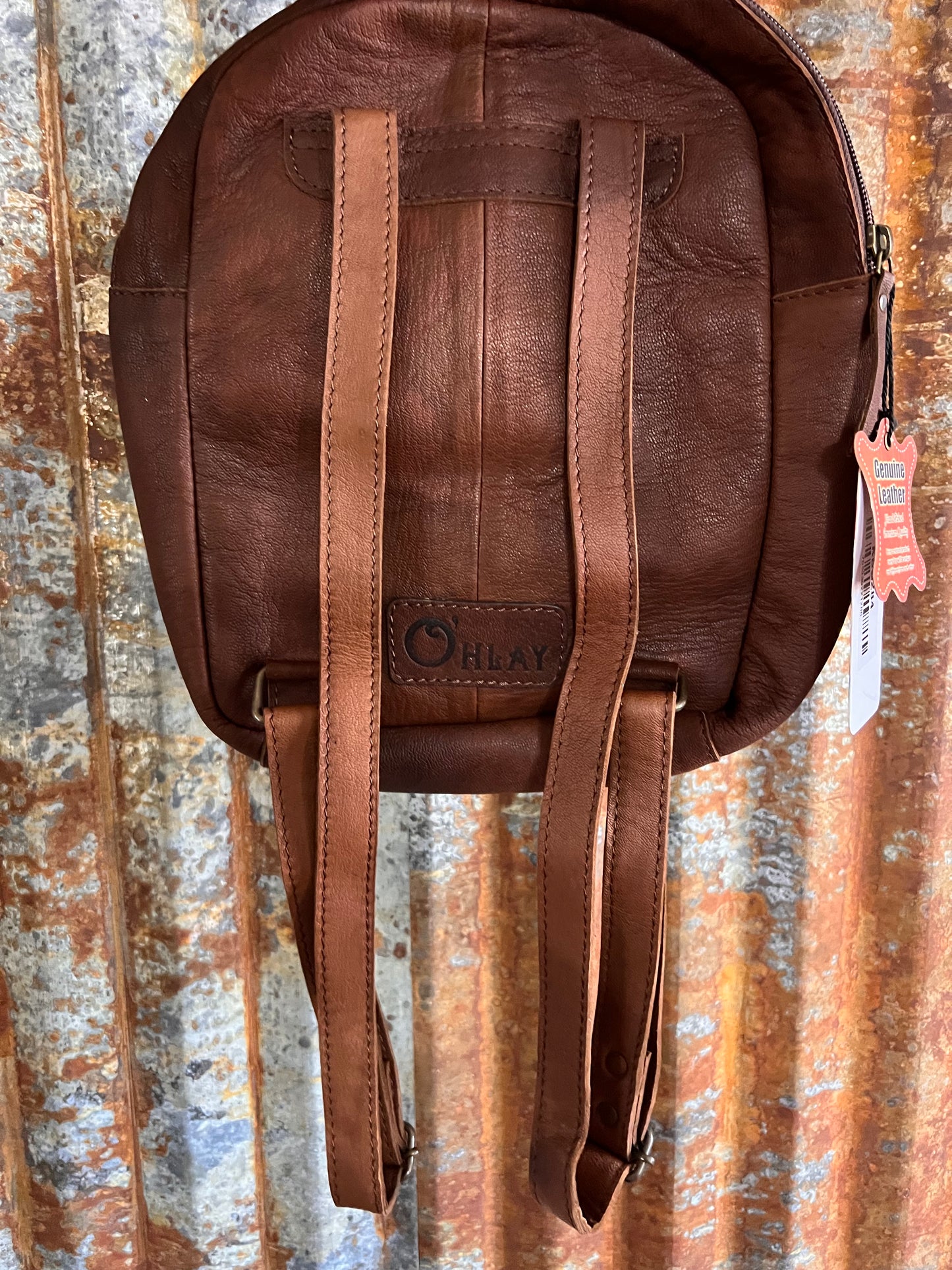 Frosted Backpack
