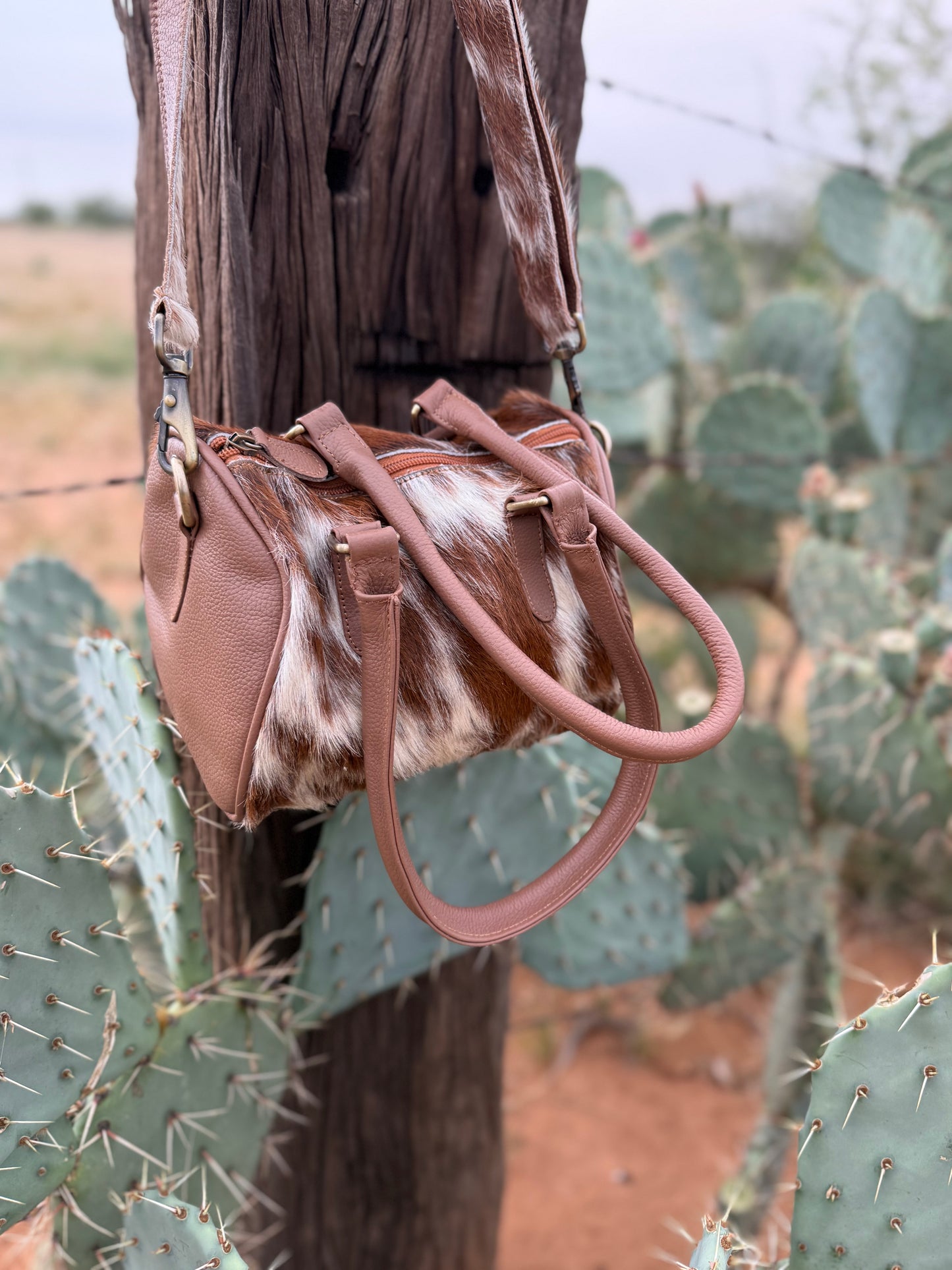 The Desert Darling Speedy (Small)