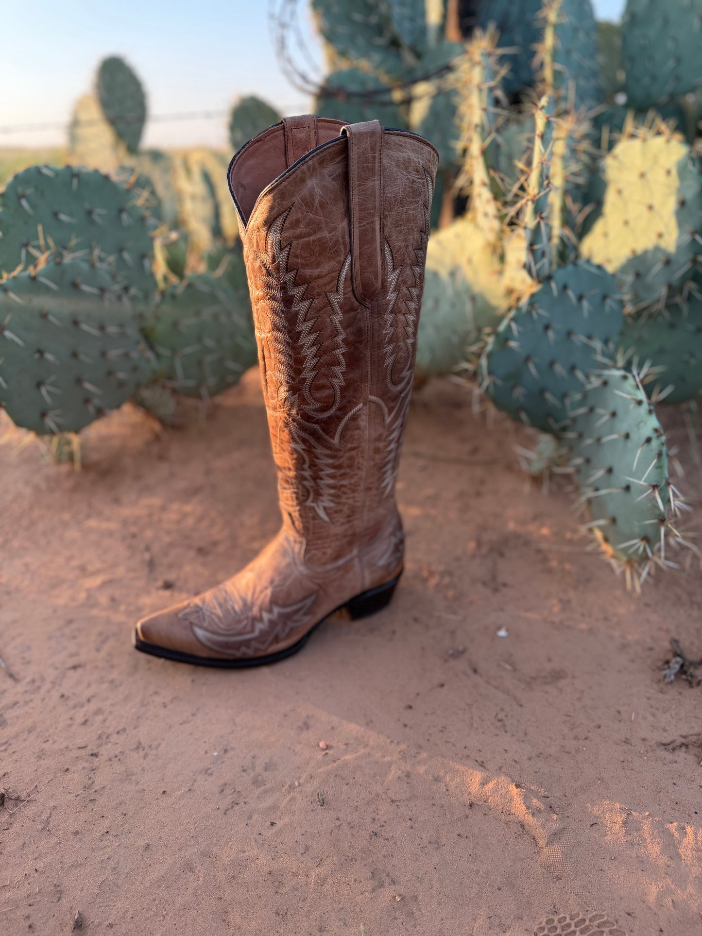 Vintage Wash Neutral Leather Boot