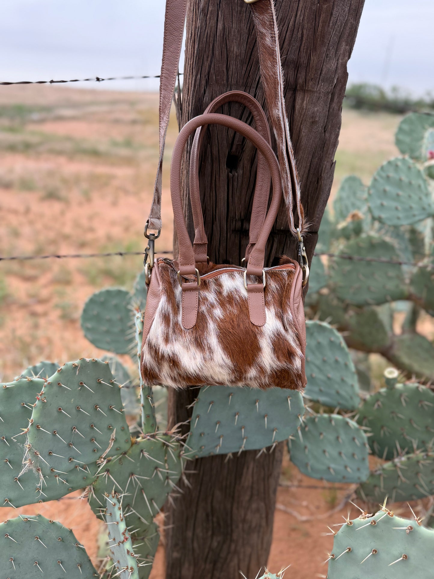 The Desert Darling Speedy (Small)