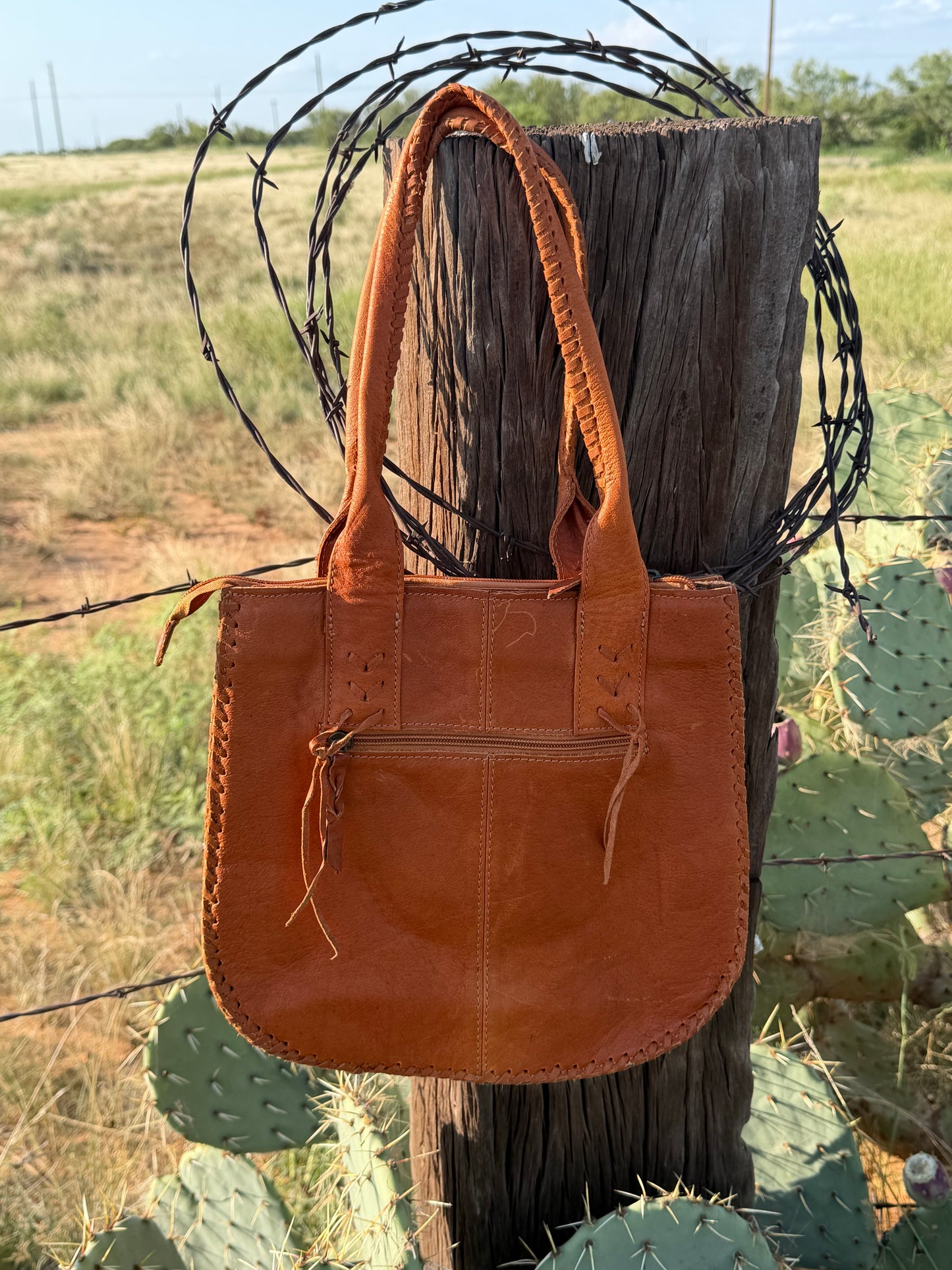 Axis Print Crossbody