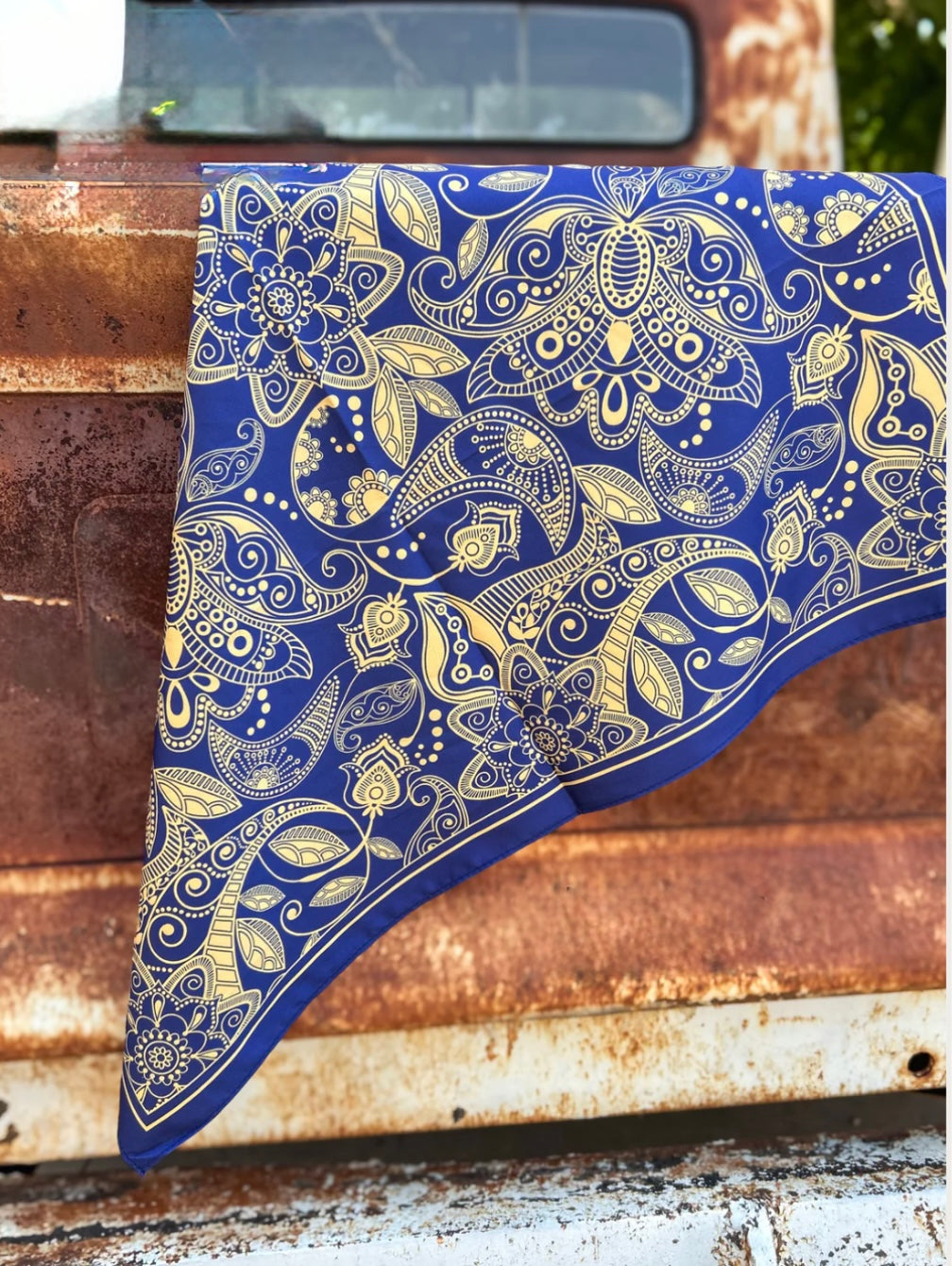 Small Punchy Paisley Wild Rag