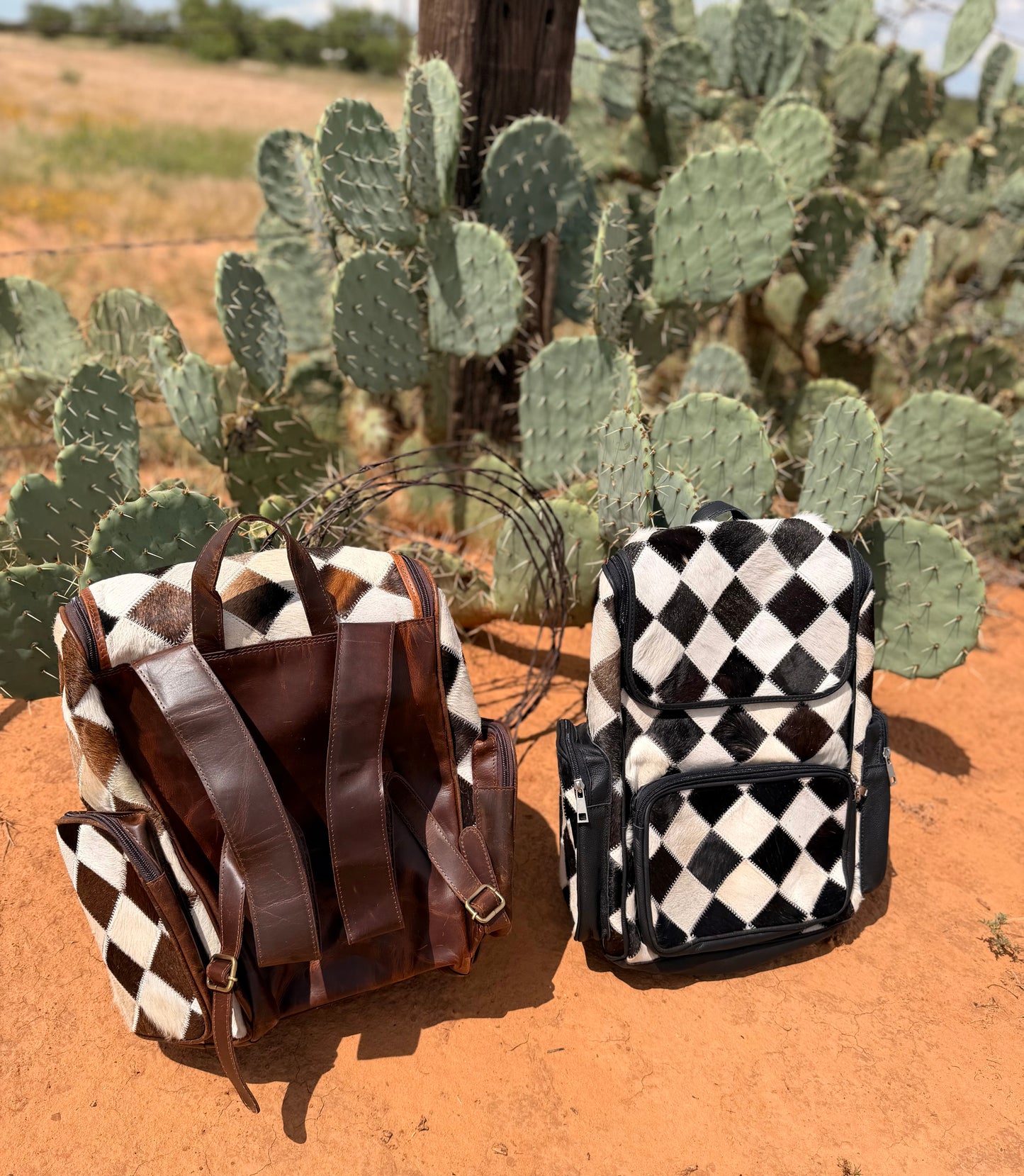 Checkered Hyde Backpacks (2 Colors)