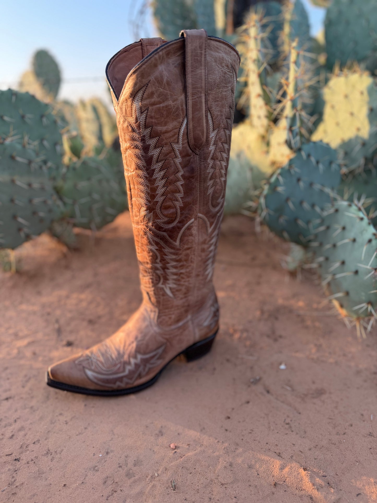 Vintage Wash Neutral Leather Boot